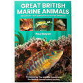 Great British Marine Animals by Paul Naylor 4th Edition