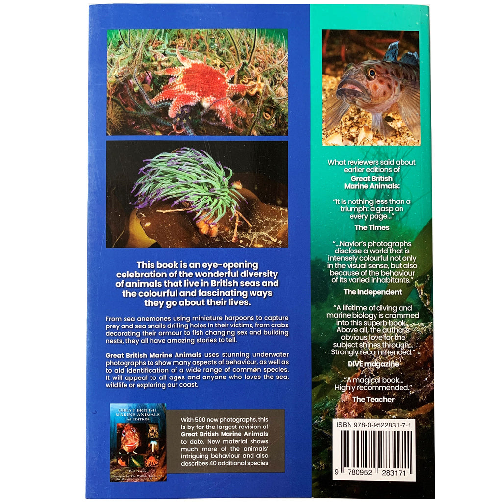 Great British Marine Animals by Paul Naylor 4th Edition