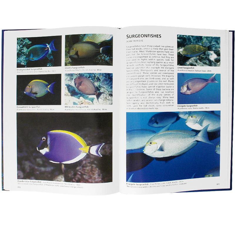 Reef Fishes of The Maldives Guide Book