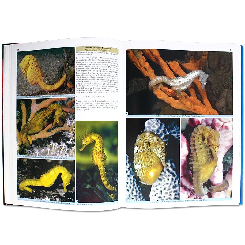 Seahorses and their Relatives Guide Book