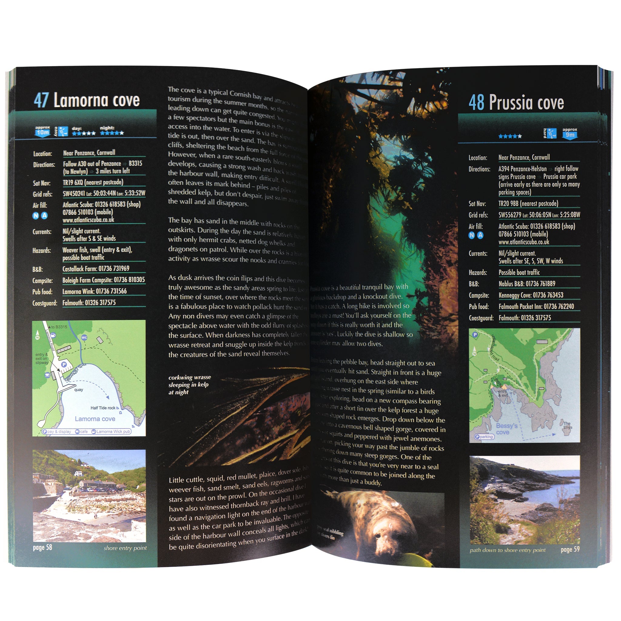 Top 100 British Shore Dives by Anita Sherwood, Revised Edition